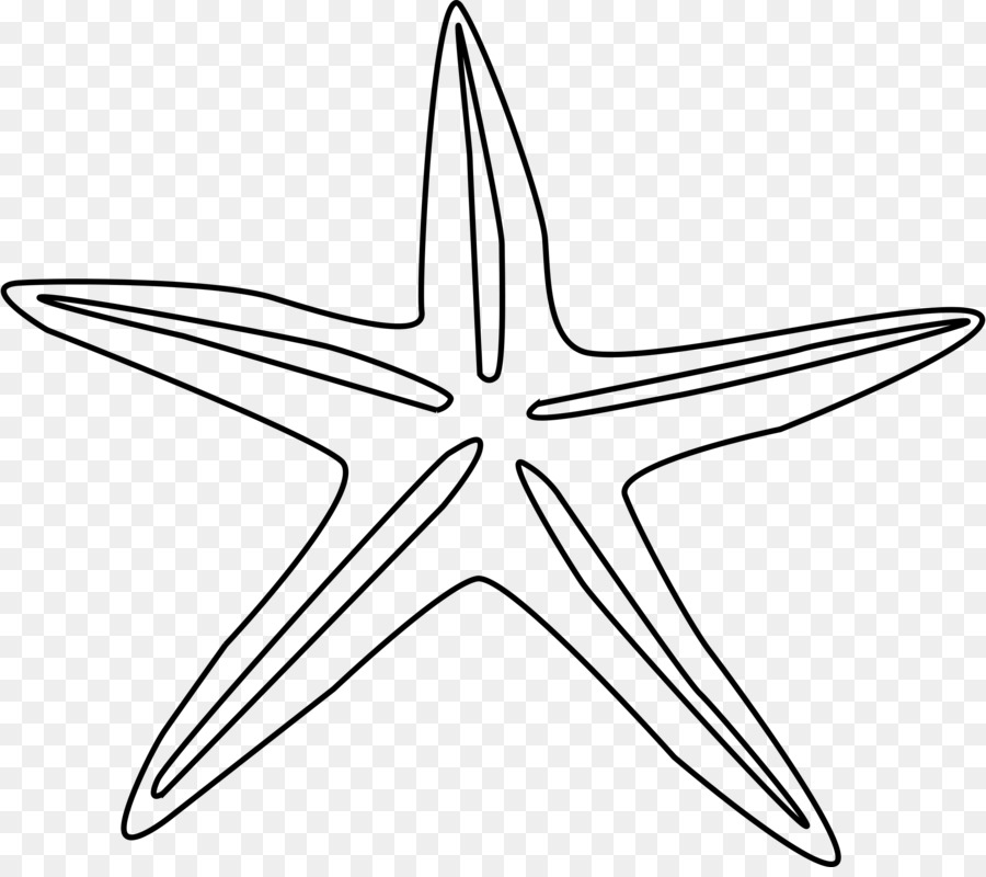 Estrella De Mar，Describir PNG