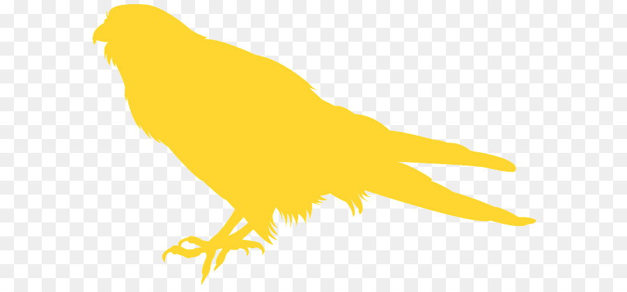 Aves，Amarillo PNG