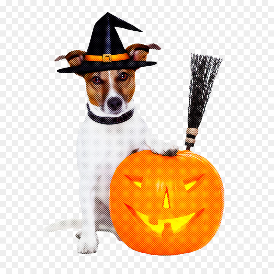 Perro，Trickortreat PNG