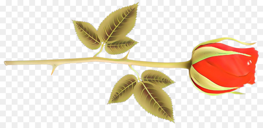 Hoja，Planta PNG