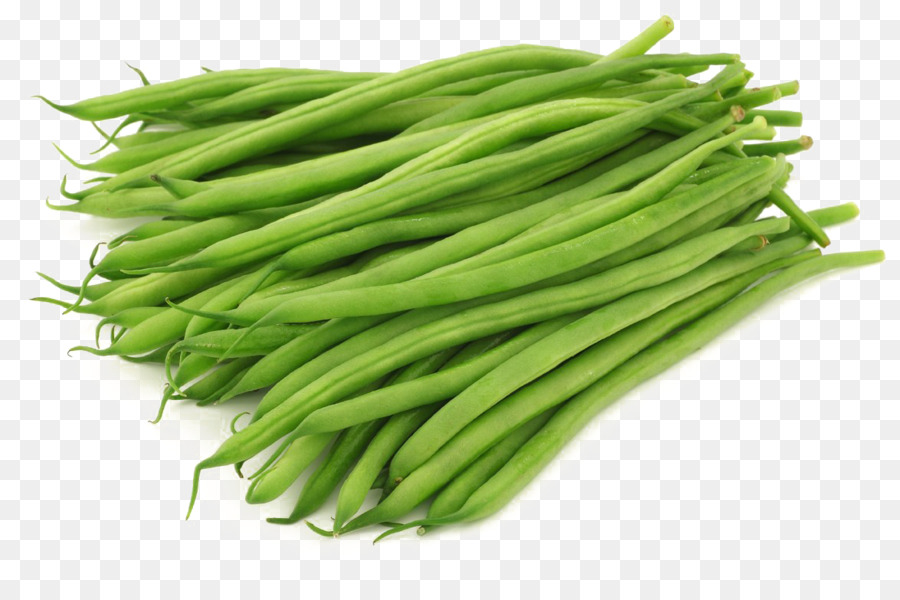 Vegetal，Planta PNG