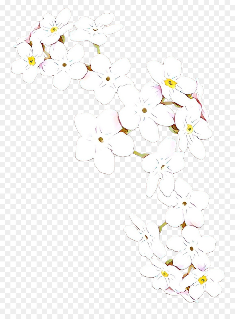 Flor，Blanco PNG