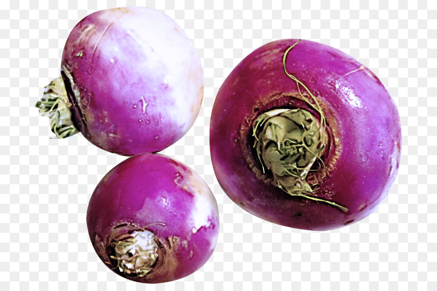 Nabo，Morado PNG