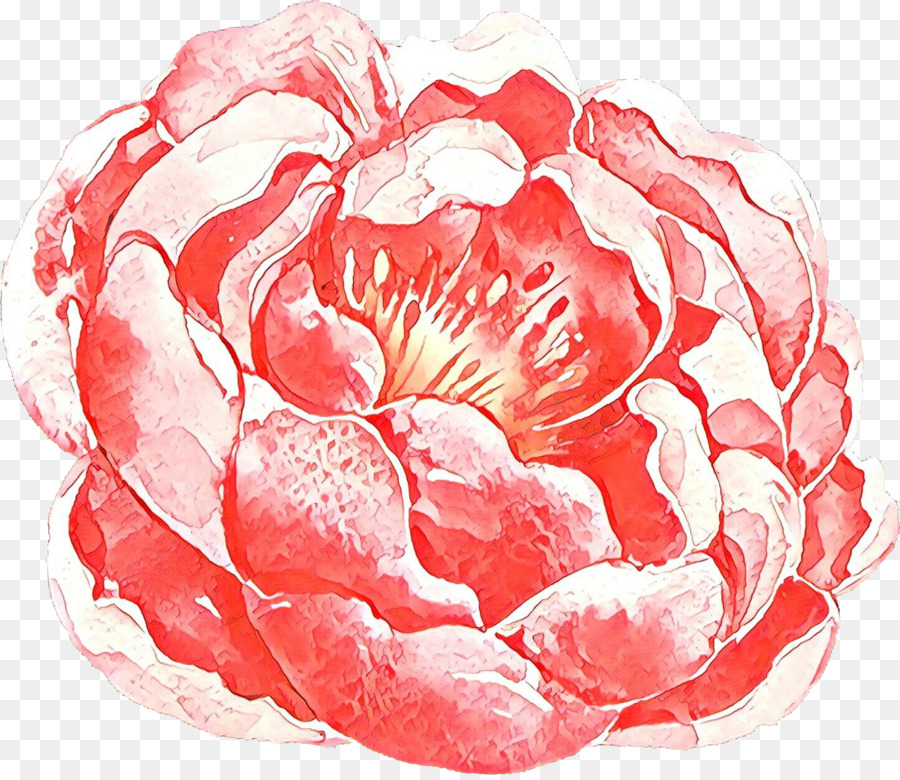 Rosa，Rojo PNG