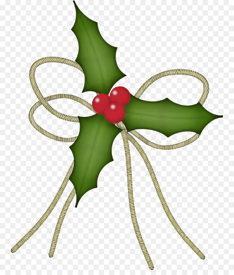 Acebo，Navidad PNG