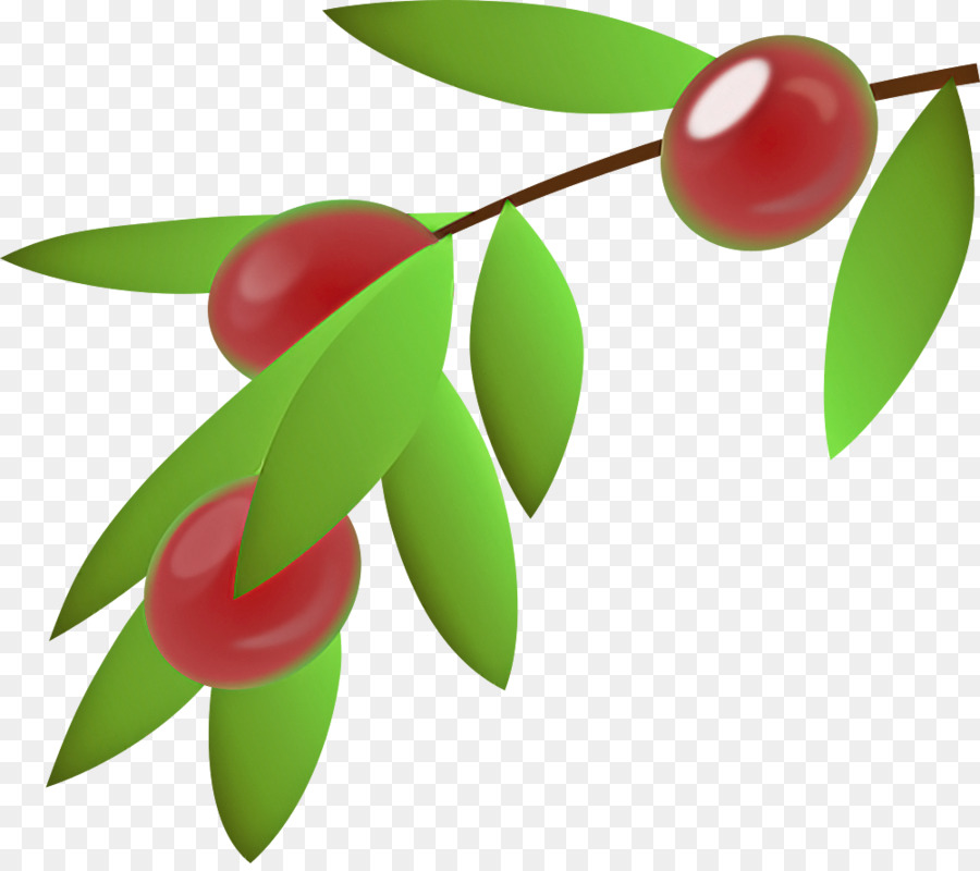 Frutos Rojos，Hojas PNG