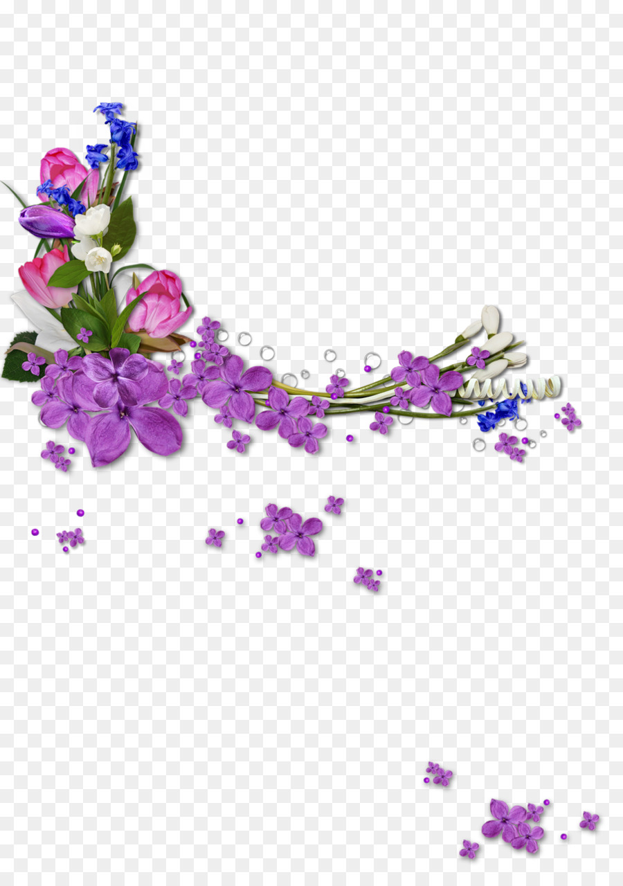 Violeta，Morado PNG