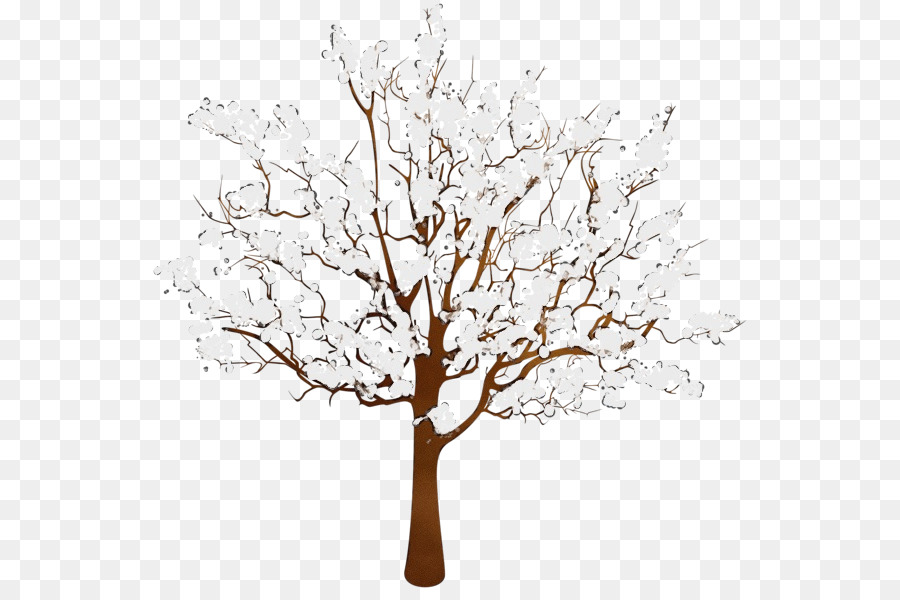 Árbol，Hojas Blancas PNG