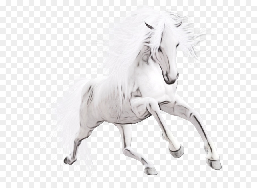 Caballo，Animal Figura PNG