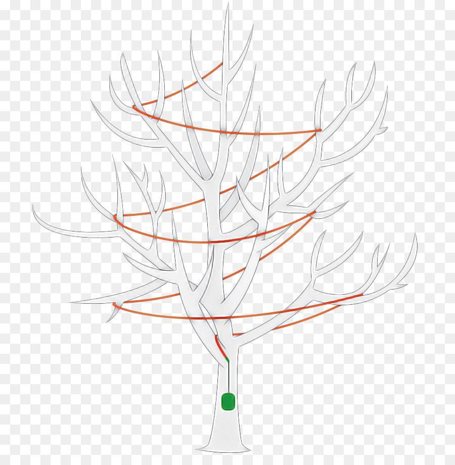 Rama，Árbol PNG