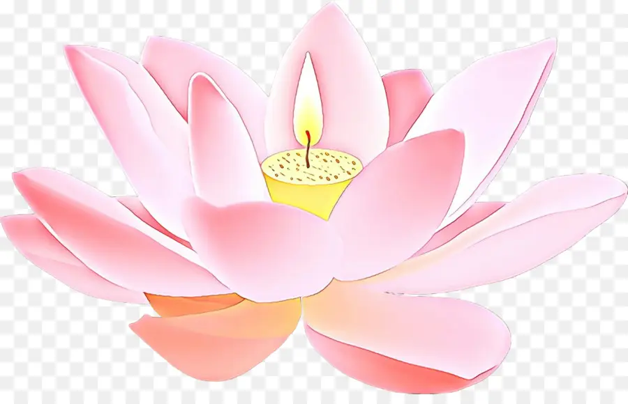 Lotus Familia，Lotus PNG