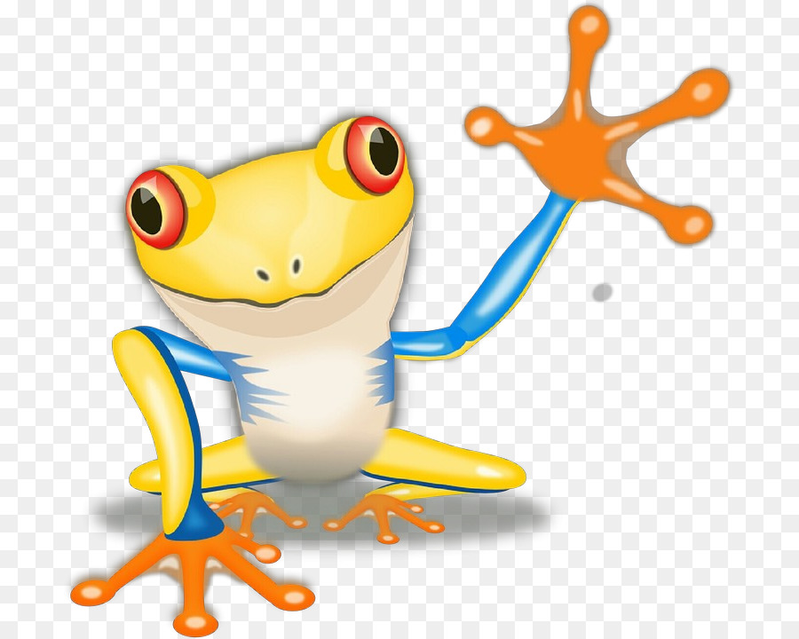 Agalychnis，Rana De árbol PNG