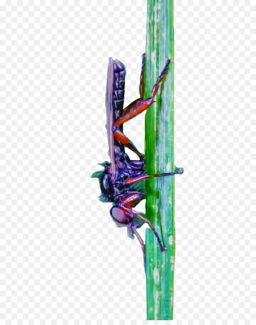 Los Insectos，Tallo De La Planta PNG