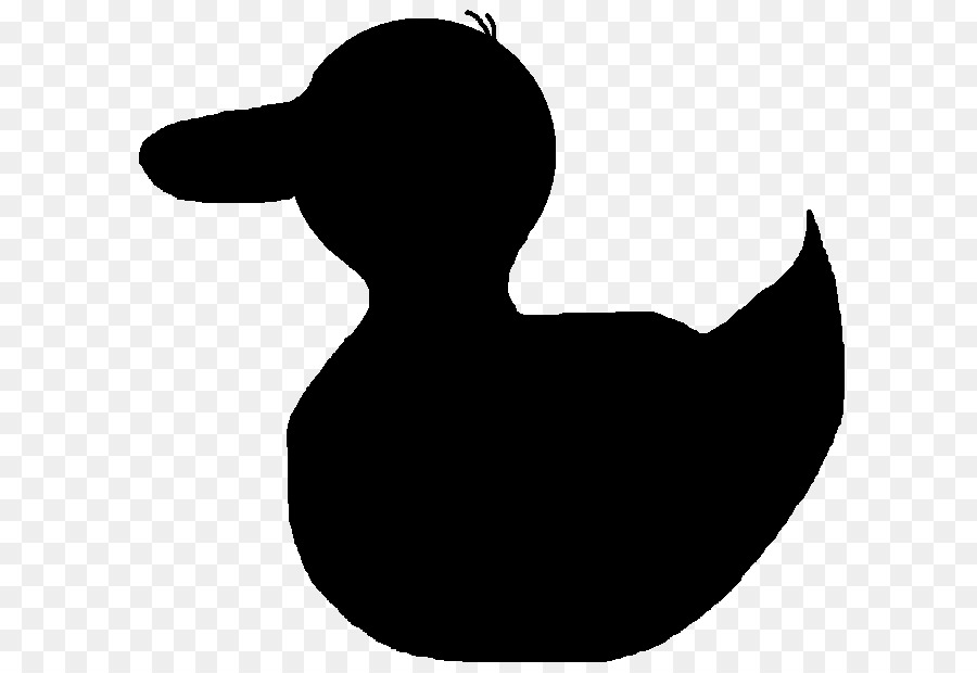 Pato，Gansos De Patos Y Cisnes PNG