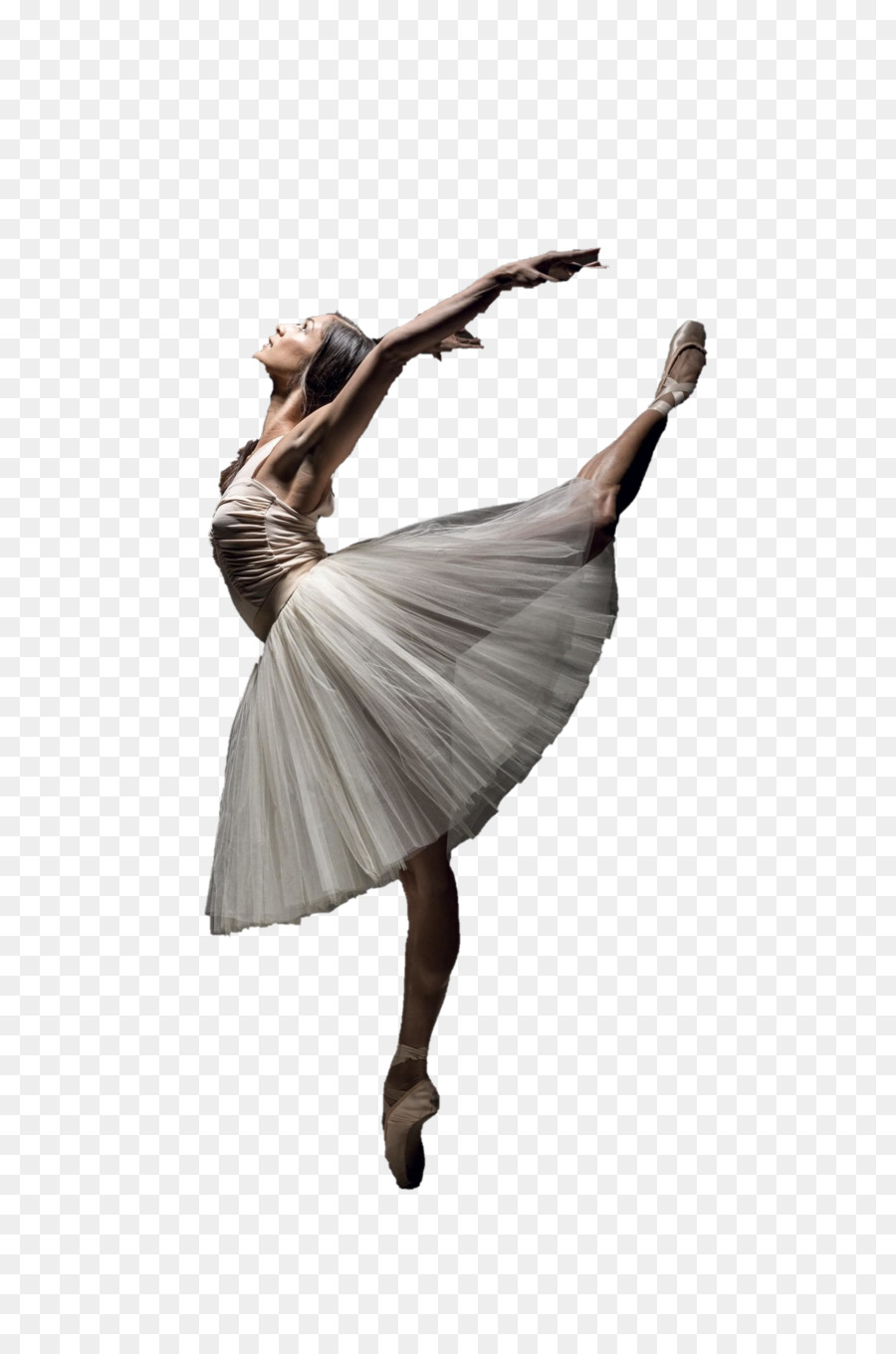 Bailarina De Ballet, Bailarina, Ballet imagen png - imagen transparente  descarga gratuita