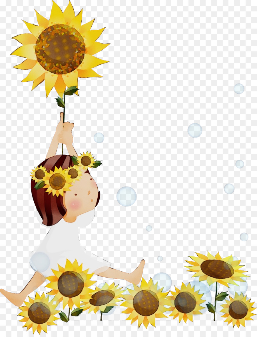 Girasol，Amarillo PNG