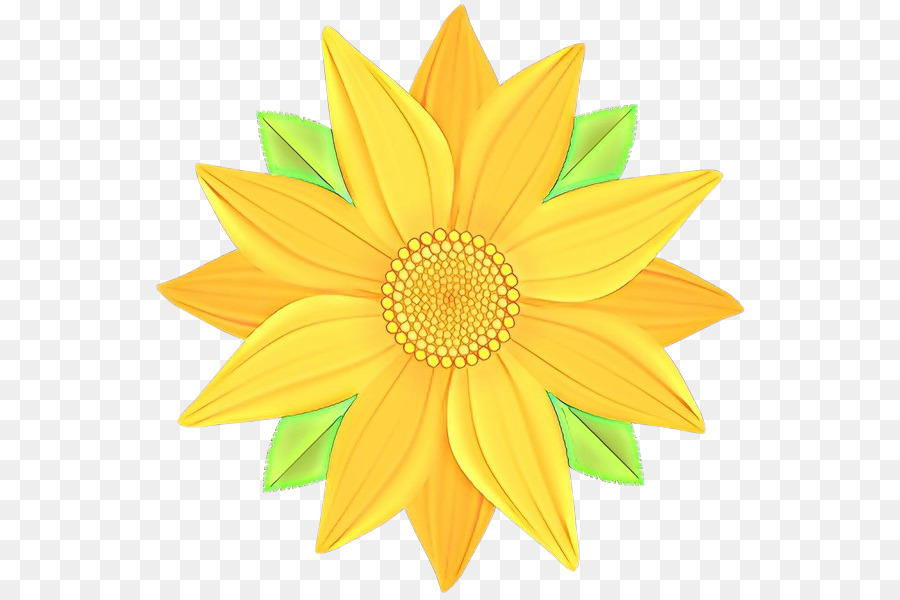 Girasol Amarillo，Planta PNG