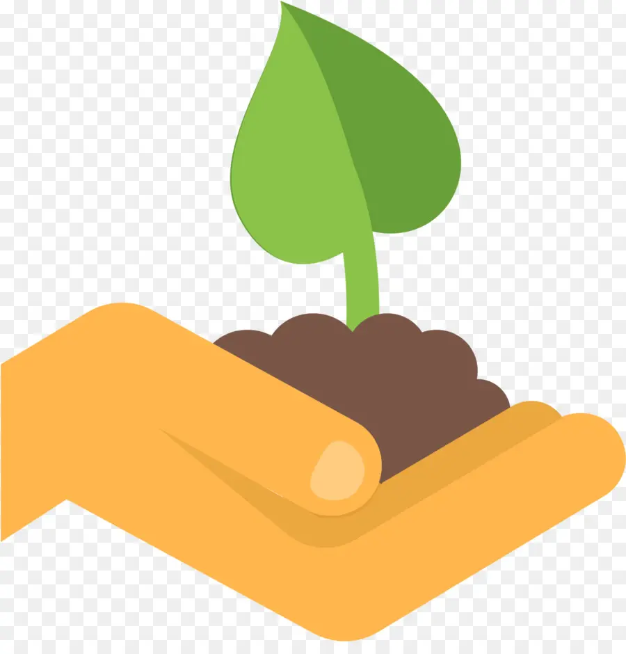 Planta De Mano，Mano PNG