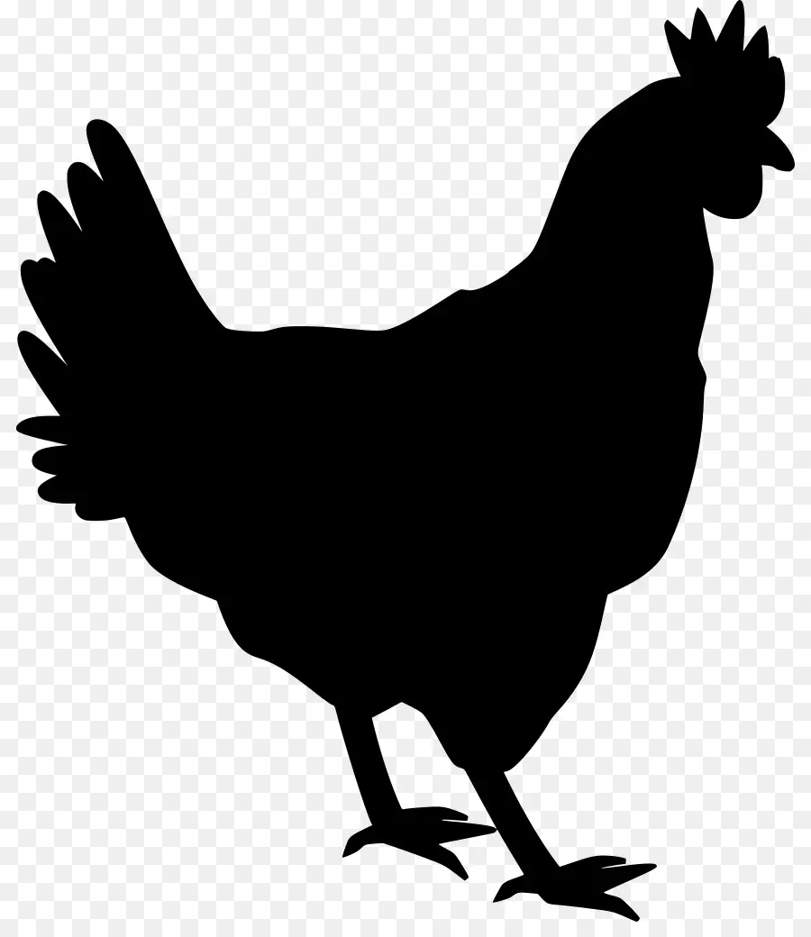 Gallo，Pollo PNG