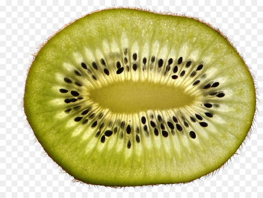 Kiwi，Hardy Kiwi PNG