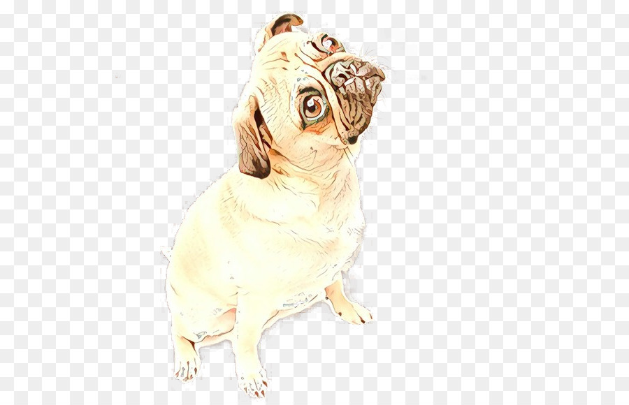 Perro，Pug PNG