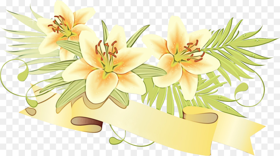 Flor，Lily PNG