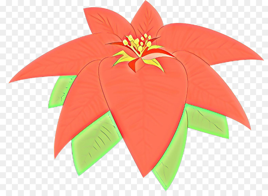 Flor De Pascua，Rojo PNG