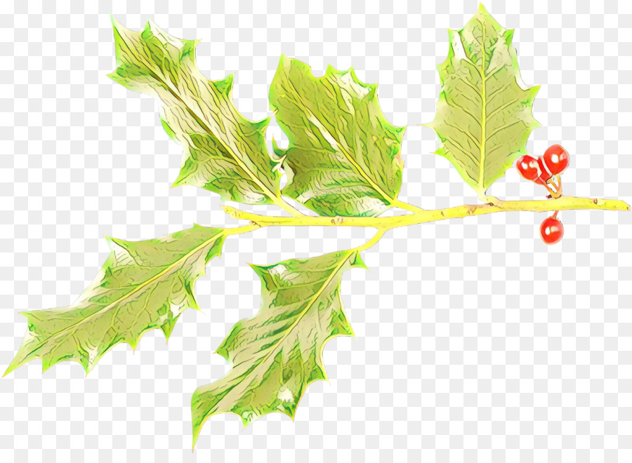 Hoja，Planta PNG