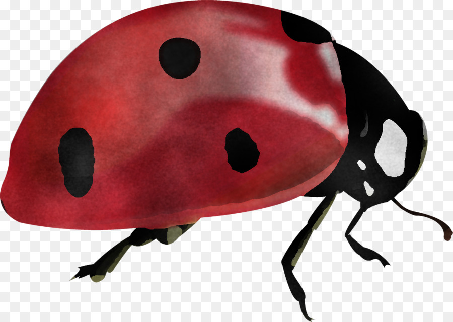 Los Insectos，Ladybug PNG