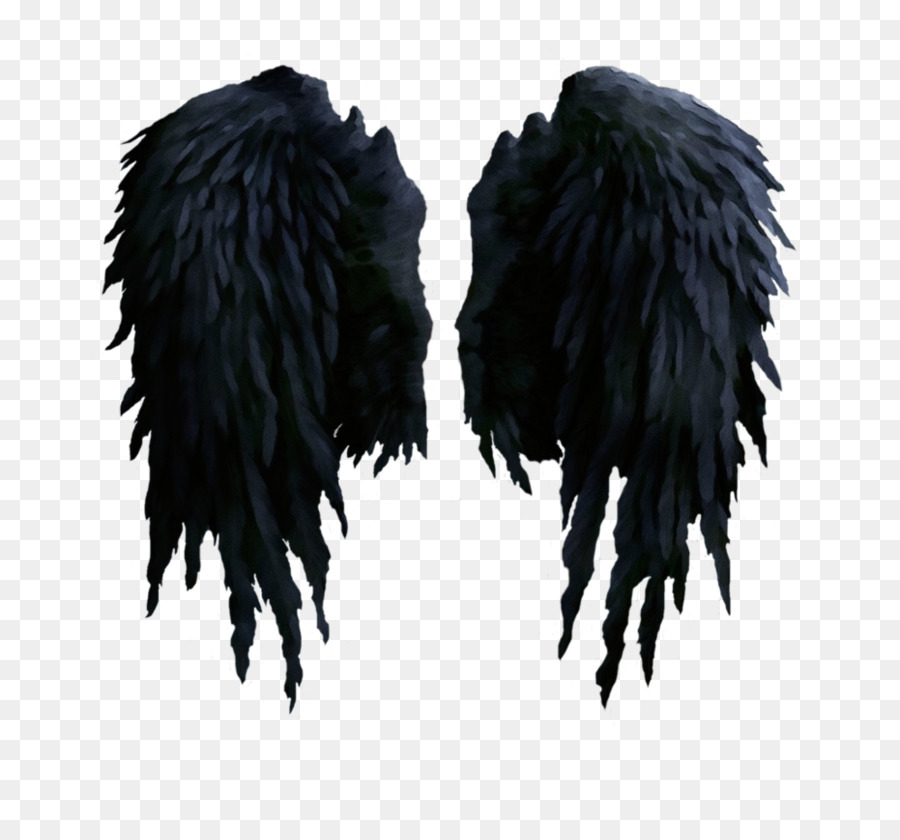 Ala，Pluma PNG