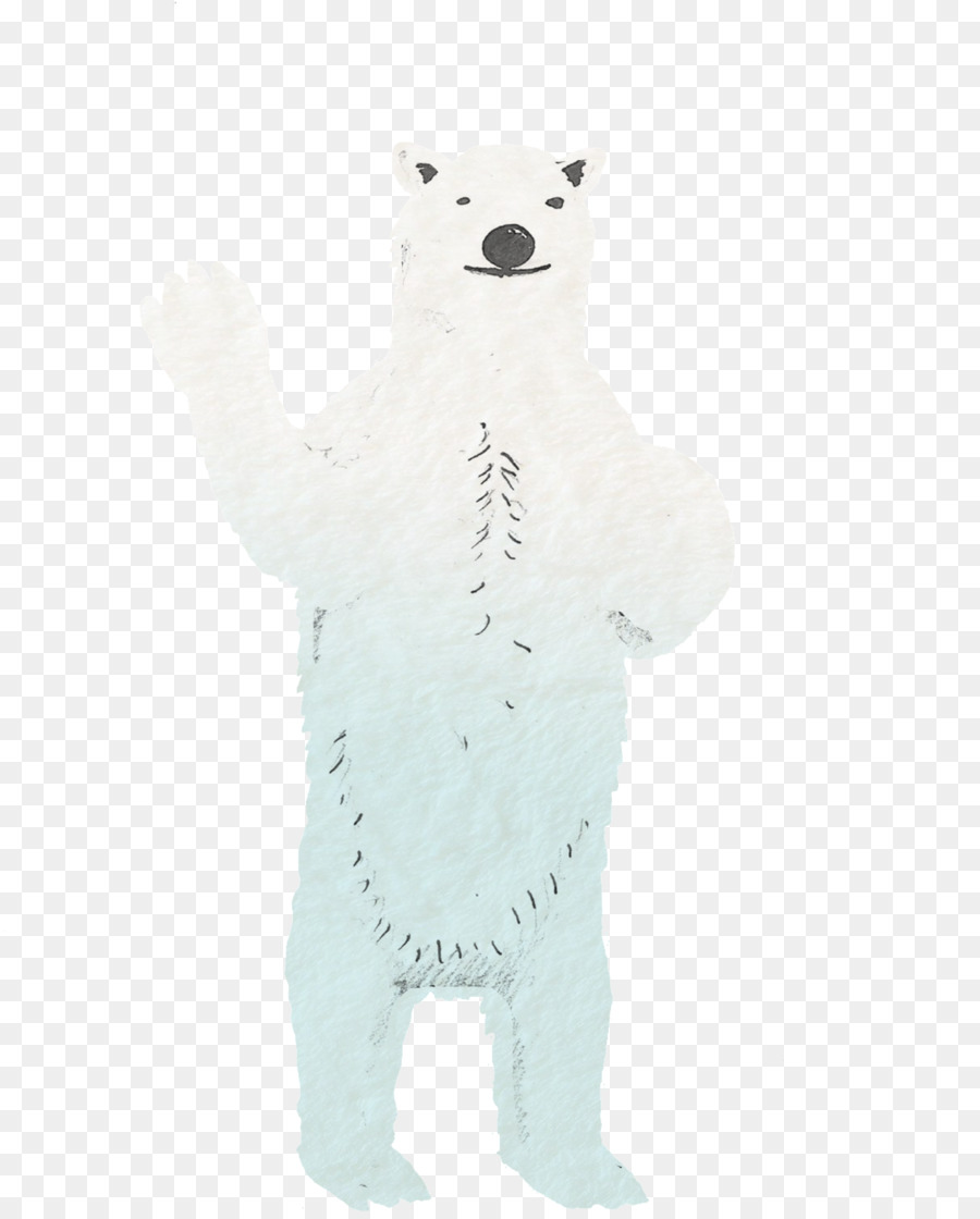 Oso Polar，Oso PNG