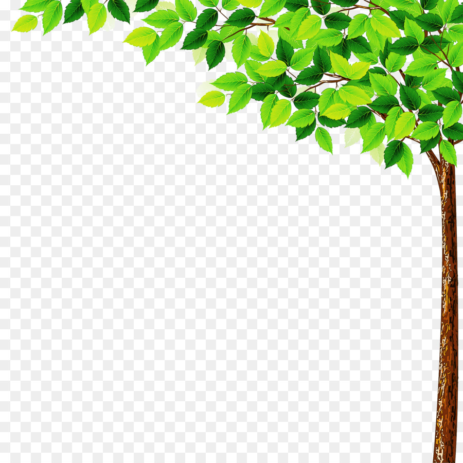 árbol，Hojas PNG