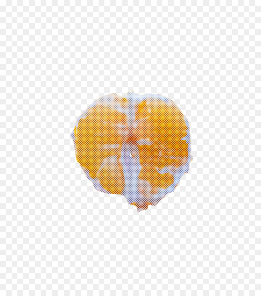 Naranja，Amarillo PNG