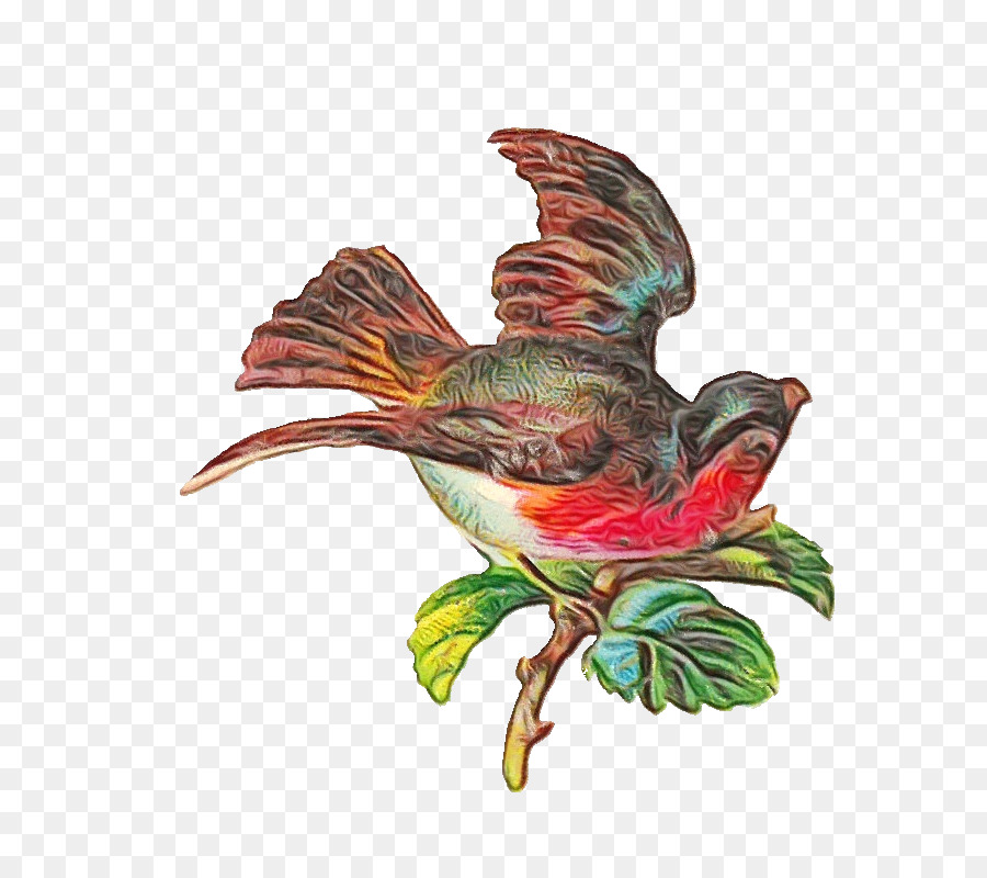 Pájaro Colorido，Pájaro PNG