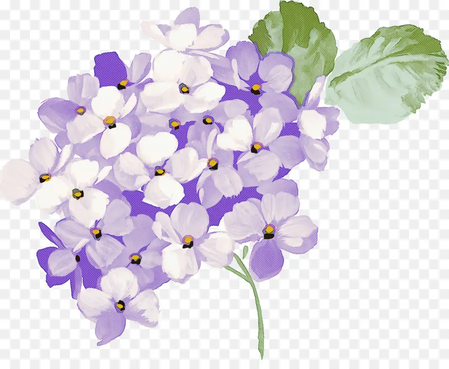 Flores，Florecer PNG