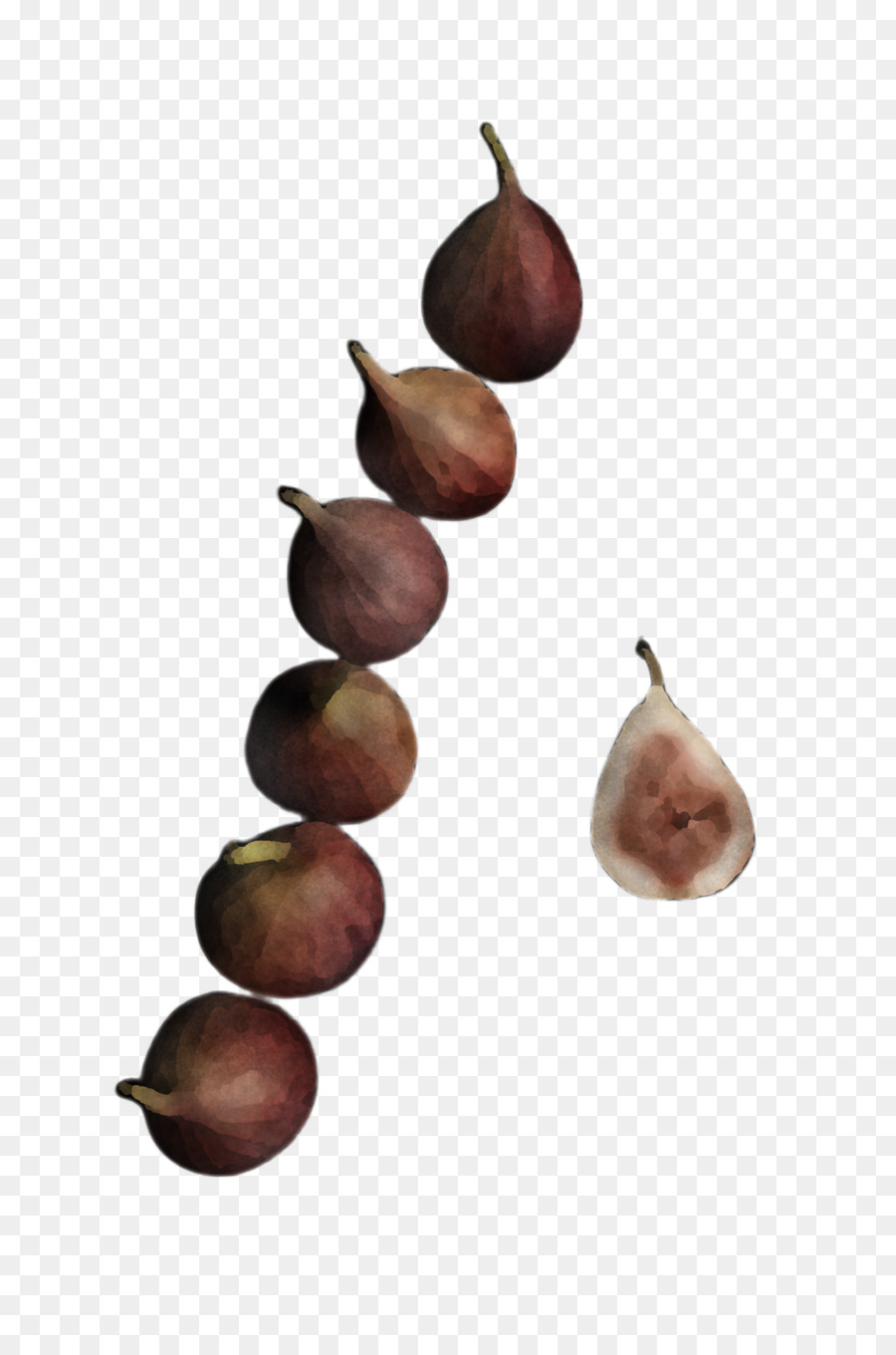 Árbol，Planta PNG