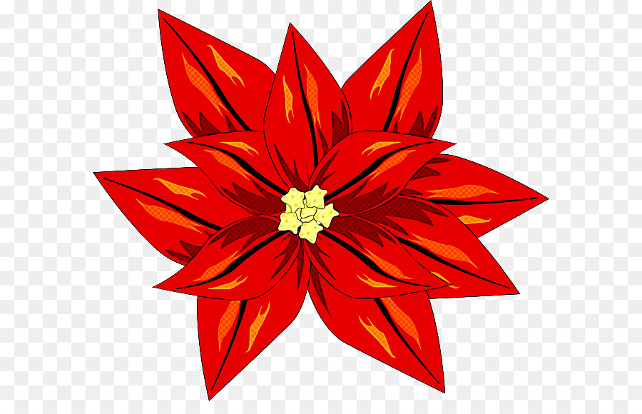 Flor De Pascua，Rojo PNG