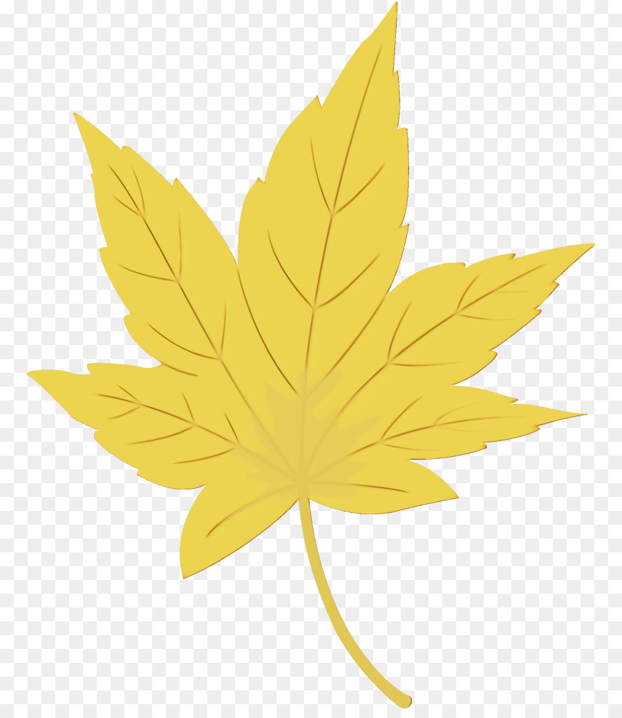 Hoja，Amarillo PNG