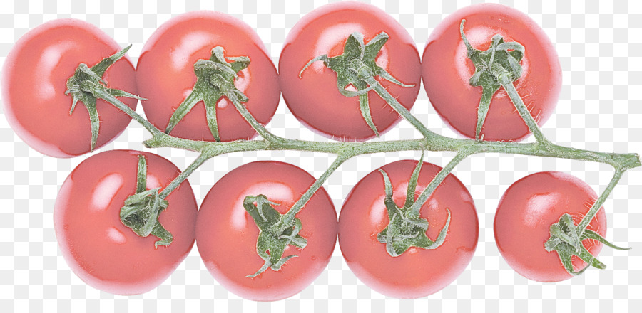 Tomate，Solanum PNG