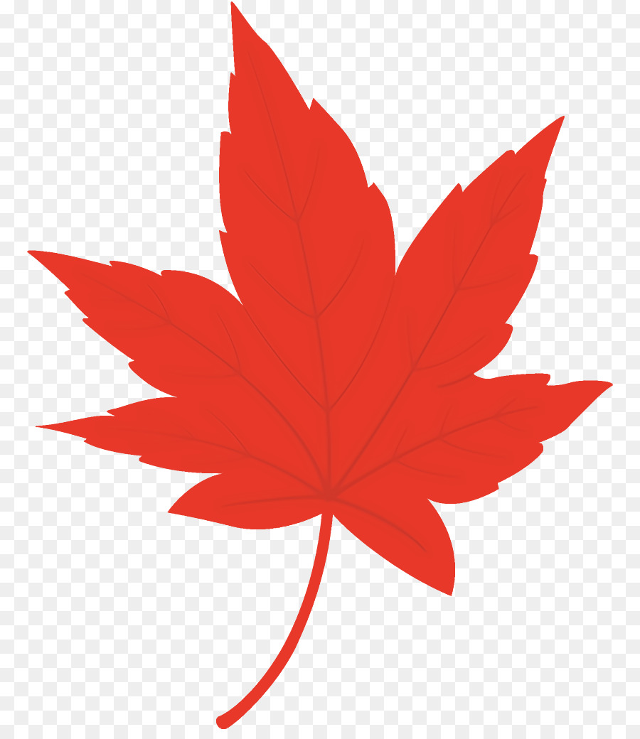 Hoja，Rojo PNG