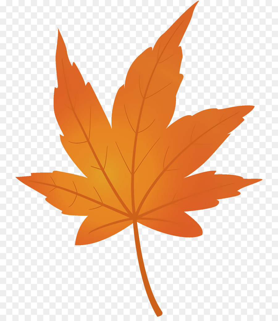 Hoja，Árbol PNG