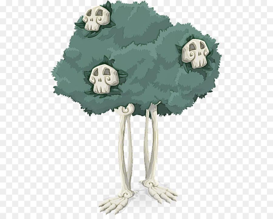 Avestruz，Árbol PNG