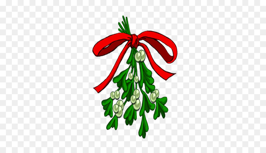 Decoración De La Navidad，Planta PNG