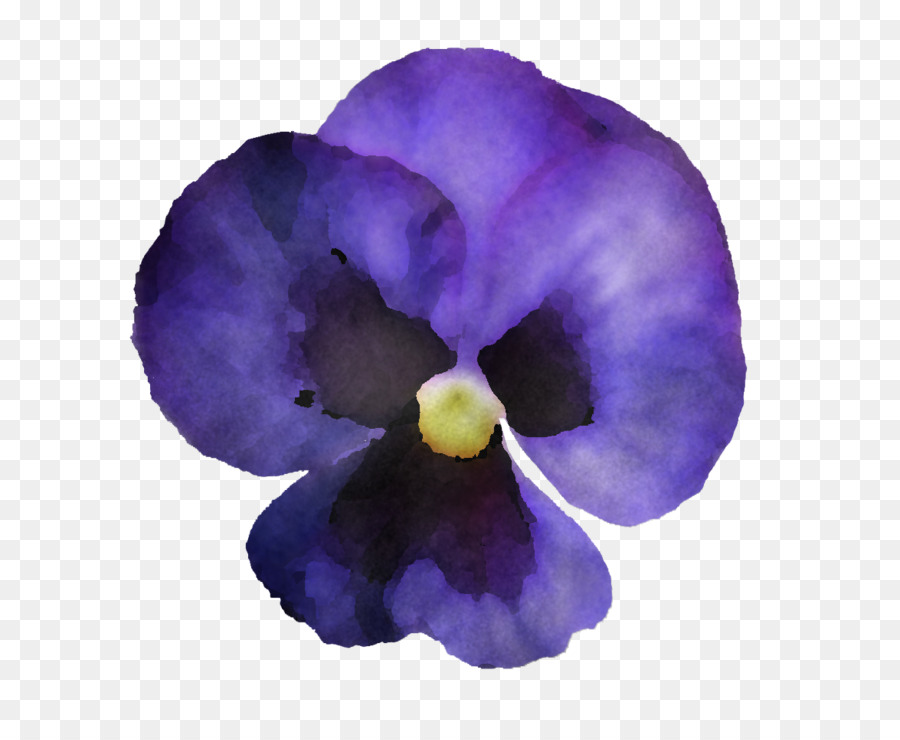 Flor，Púrpura PNG