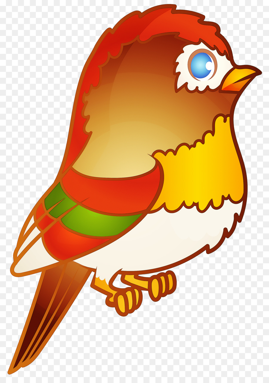 Pájaro Colorido，Plumas PNG