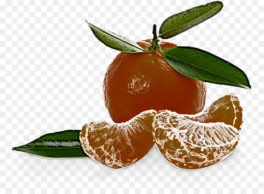 Clementine，Mandarina PNG