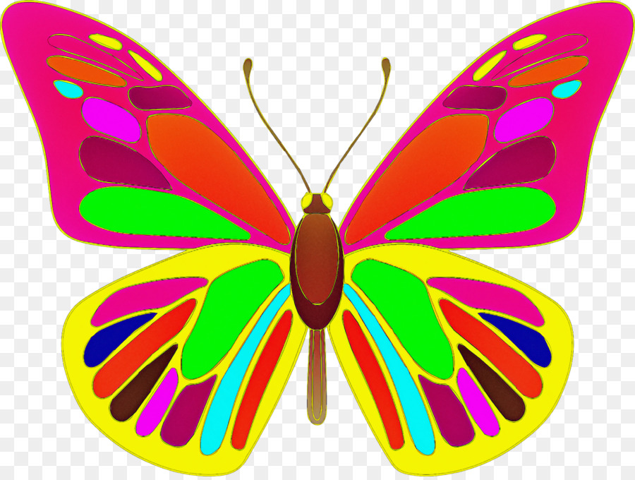 Las Polillas Y Las Mariposas，Mariposa PNG