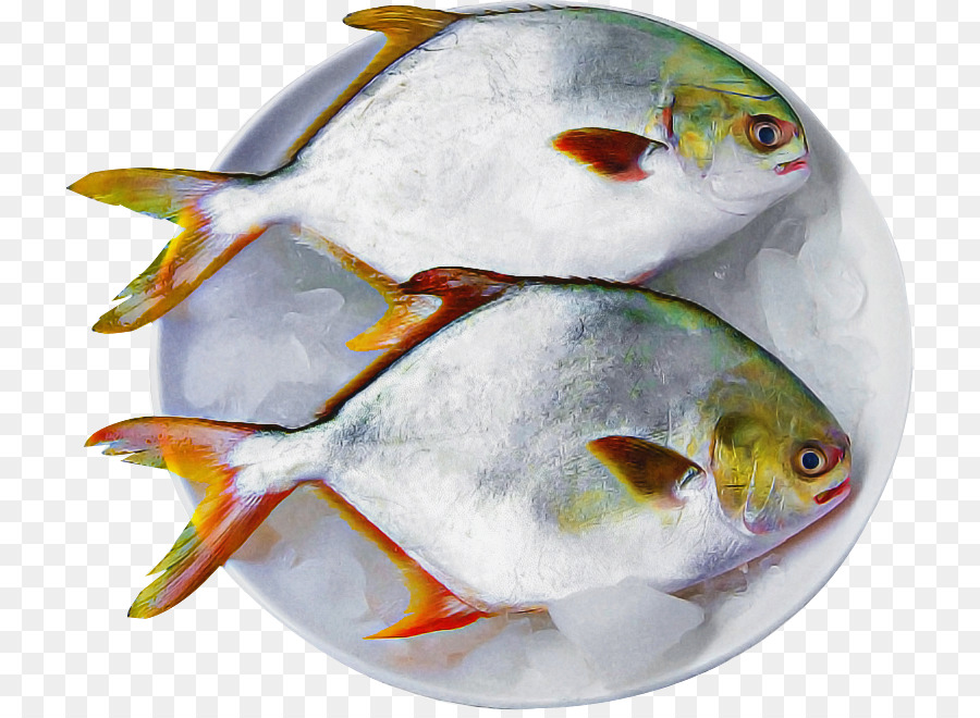 Los Peces，Blanco PNG