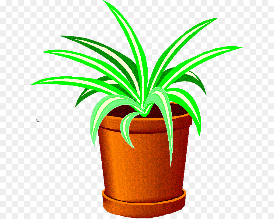 Planta En Maceta，Planta PNG