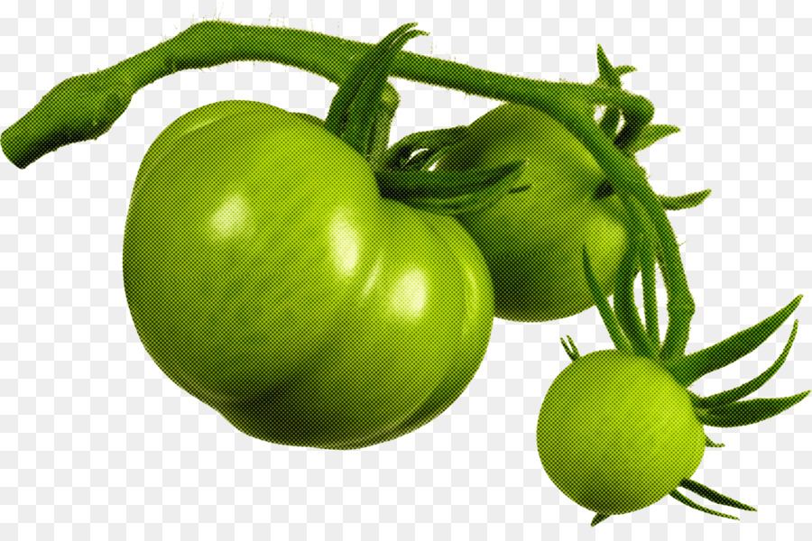 Tomate Verde，Inmaduro PNG